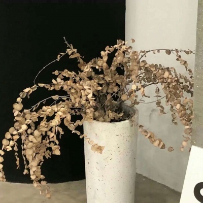 Furry圈创作干货FurryQQ群